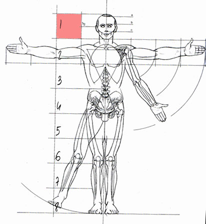 Les Proportions Du Corps Trouvez Le Tutoriel Photoshop CS4/CS5, Flash ...