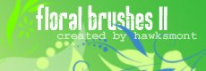 Apercu du Brush